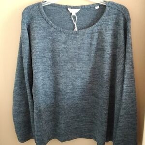 Max Studio Blue Scoop Neck Sweater
